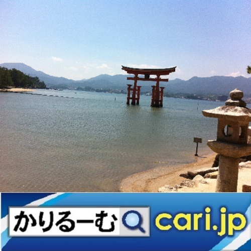15_torii200127w500x500.jpg