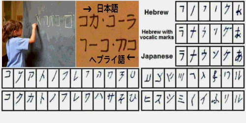 ヘブライ語、日本語、コカコーラ