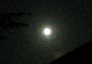 moon31.jpg