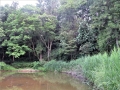 池の端