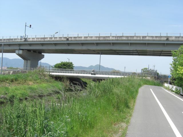 20200505asukagawa (21)
