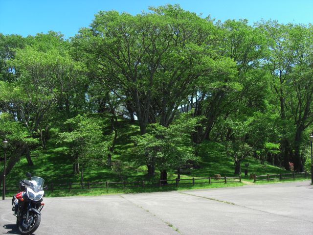 20200507maruyama park (7)