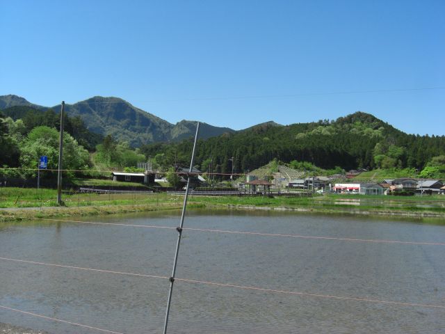 20200507maruyama park (39)