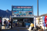 オットセイ観光船受付カウンタ（Drumbeat Charters） Hout Bay