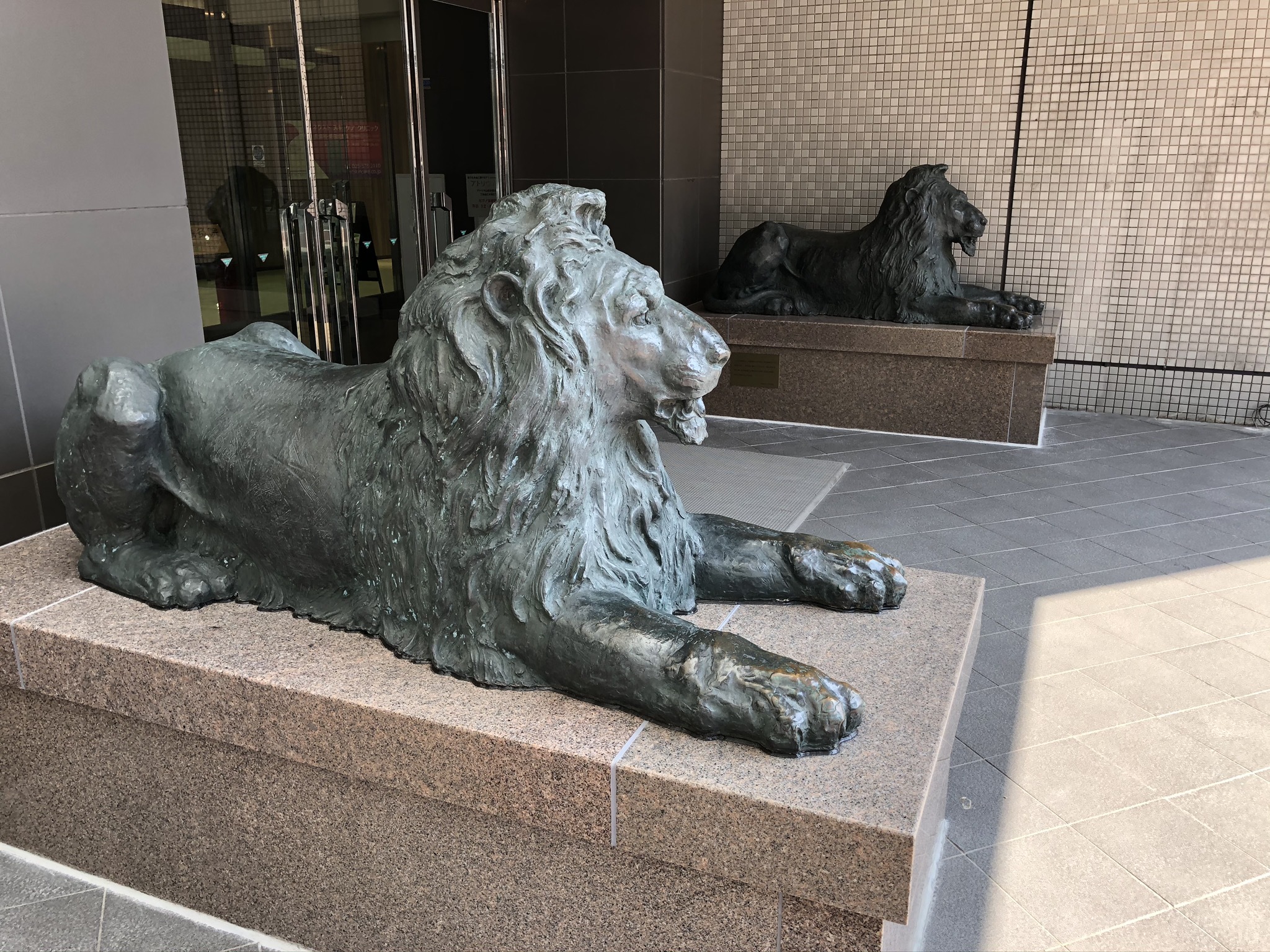 三越のライオン像がｎｅｘｔ２１に 公式 新潟市東区の畳屋 岡村たたみ店のブログ