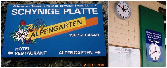 040711シーニゲプラッテ駅名表示と時計