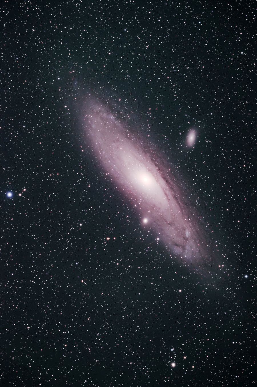 プロミナーによる M31 アンドロメダ銀河 ＠達磨 2020年8月