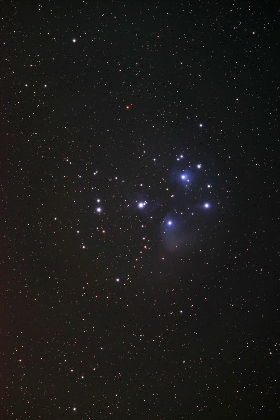 プロミナーによる M45プレアデス星団 ＠達磨 2020年8月