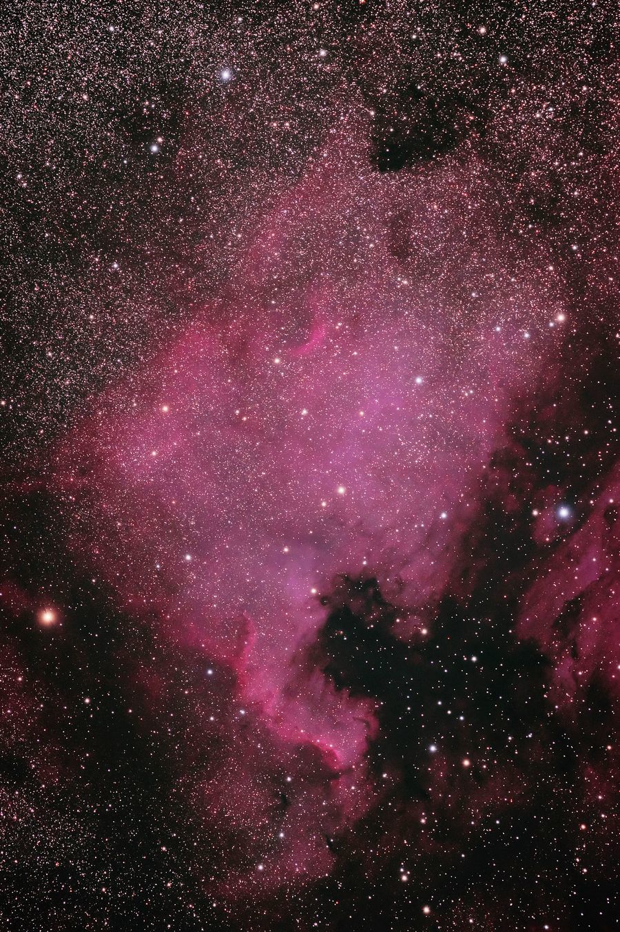 プロミナーによる NGC7000 北アメリカ星雲 ＠達磨 2020年8月