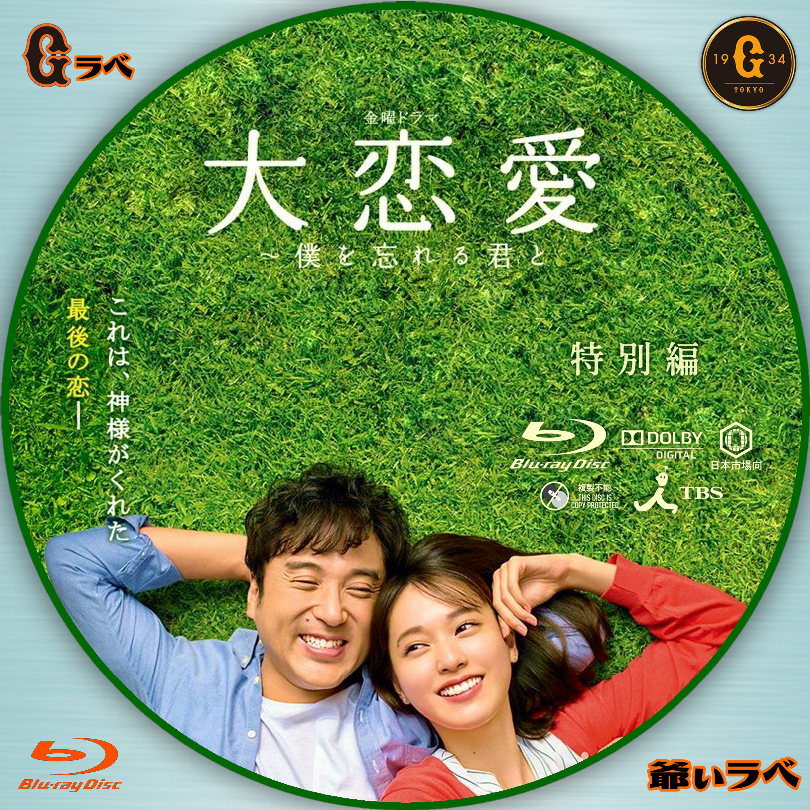 大恋愛～僕を忘れる君と DVD BOX〈6枚組〉DVD - TVドラマ