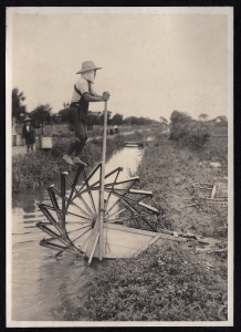 800px-Irrigation_Treadmill_in_Japan_(1914_by_Elstner_Hilton).jpg