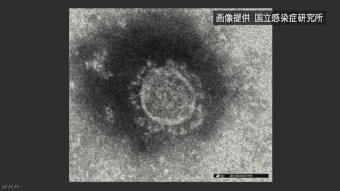 550-340新型ウイルス