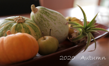 2020--Autumn.jpg