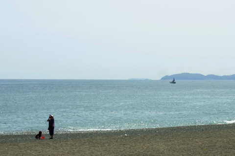 小田原御幸の浜海岸