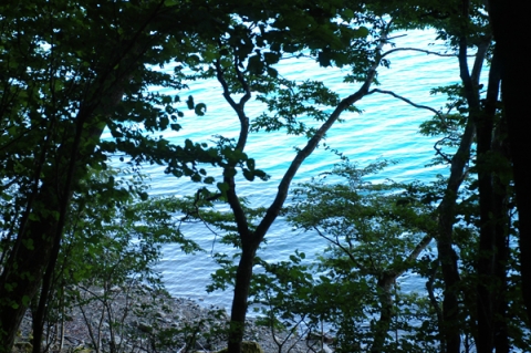 樹間から見える本栖湖の湖面