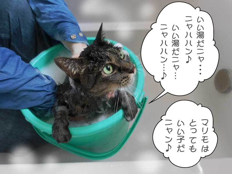 2020-09-08-Tue-09-お風呂で歌うマリモちゃん_DSCN8980