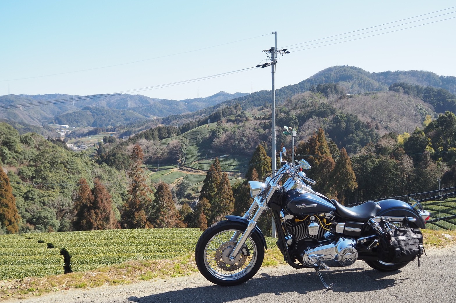 harleydavidson-motorcycle-touring-blog-kyoto-teaplantation-of-erihara-view.jpg