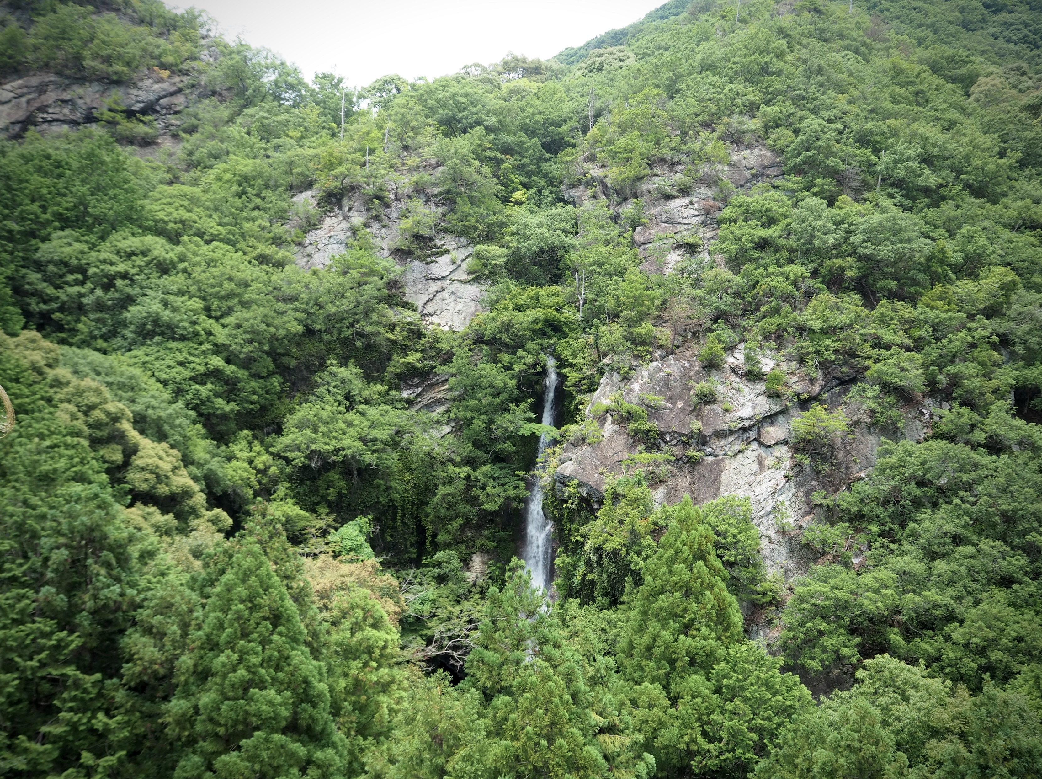 ぴーきち＆ダイナ　ハーレーブログ　和歌山有田ツーリング　次の滝　展望所