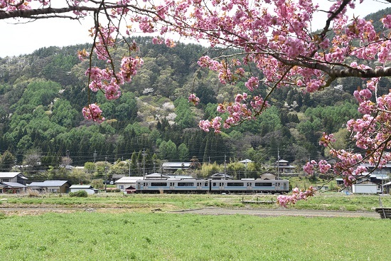 2020年5月5日撮影　辰野線　158M　E127系と八重桜