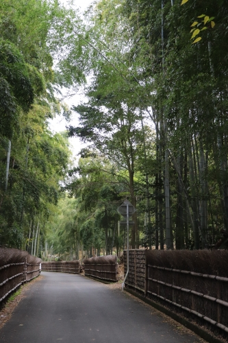 竹林公園