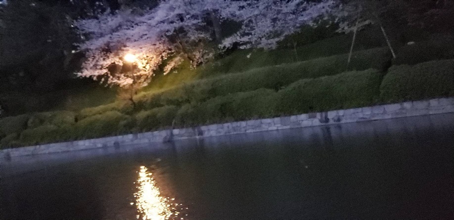 夜の松山のお堀端 2