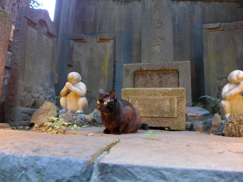 石碑と黒猫1